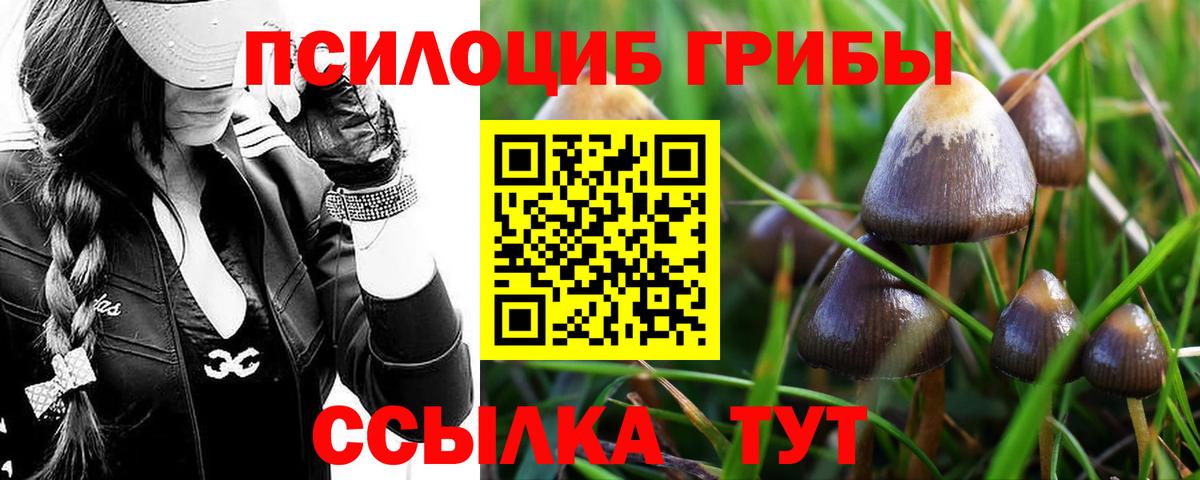 Галлюциногенные грибы Magic Shrooms  Галлюциногенные грибы мухоморы  Вход с VPN  цена   Ижевск 